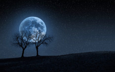 Bulan Terlihat Lebih Besar dan Oranye saat Full Harvest Moon, Ini Penjelasannya..