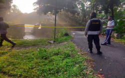Irigasi Zaman Belanda Jebol, Ribuan Hektare Sawah di Kulonprogo Terancam Puso