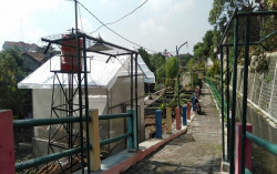 Warga Patangpuluhan Sulap Lahan Kosong Jadi Kampung Sayur