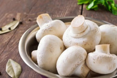 Bedakan Jenis Jamur yang Bisa Dimakan dan yang Beracun!