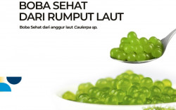 Peneliti Kembangkan Boba Rumput Laut, Diklaim Lebih Sehat