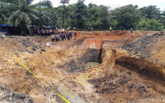 Begini Modus Mafia Tambang & Perusak Hutan Cuci Duit Hasil Kejahatan