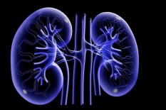Ini 10 Kebiasaan Sehari-hari yang Dapat Merusak Ginjal