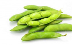 Formula Nano Pupuk Hayati Kedelai Edamame: Ramah Lingkungan & Tingkatkan Hasil Panen