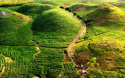  Dinas Pariwisata Gunungkidul Melatih Pemandu Geowisata