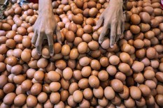 Ini Makanan-Makanan yang Paling Banyak Dikonsumsi di Dunia