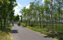 Satu-satunya di Dunia, Jalan Kabupaten Membelah Rest Area Tol Jogja-Solo
