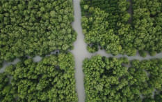 Salah Kaprah Pemahaman Soal Ekowisata, Ini Faktanya 