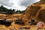 Hasil Survei: Milenial Sebut Krisis Lingkungan Belum Disikapi Serius oleh Parpol