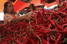 Kenaikan Harga Cabai Merah Diperkirakan Picu Inflasi Oktober 2021