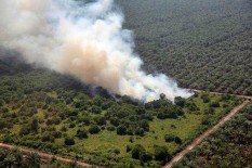 100 Negara Berkomitmen Akhiri Deforestasi, Termasuk Indonesia 