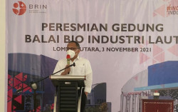 BRIN Dorong Riset Tingkatkan Nilai Tambah Sumber Daya Alam