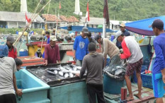 Musim Hujan Tiba, Nelayan Samas Nantikan Bawal Laut