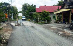 Warga Bangunsari Semin Tanam Pohon Pisang di Jalan