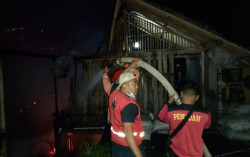Kandang Ludes Terbakar, Belasan Ribu Ayam Mati Terpanggang