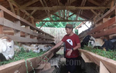 OPINI: Berselancar Bersama Milenial	