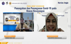 Awas, Manusia Bisa Tularkan Virus Corona ke Hewan Kesayangan