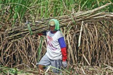 Petani Tebu Pertanyakan Alokasi Impor Gula Mentah 2022