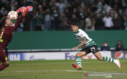 Dihajar Sporting CP, Dortmund Harus Angkat Kaki dari Liga Champions