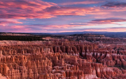 Mengenal Keindahan Taman Nasional Bryce Canyon yang Mirip Palu Thor