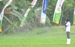 Pemupukan Padi di Destinasi Wisata Svargabumi Gunakan Drone