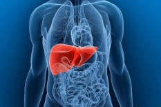 Awas! Risiko dan Tanda Penyakit Liver Sejak Usia Muda
