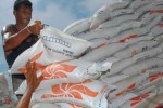 Jokowi Klaim Tak Ada Impor Beras Sepanjang 2021, Begini Faktanya