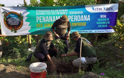17 Kalurahan Disasar Penanaman Pohon untuk Pengembangan Wisata Menoreh