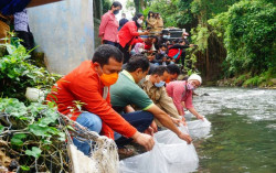 Jaga Ekosistem Sungai, Ribuan Bibit Ikan Ditebar di Winongo