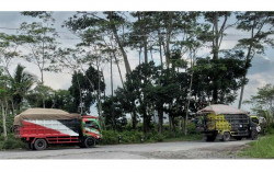 Aktivitas Penambangan Pasir Merapi Masih Berjalan dengan Kehati-hatian