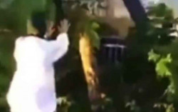 Video Risma Coba 'Kendalikan' Badai Kembali Viral 