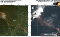 Lahan Rusak Akibat Semeru Seluas 2.417 Hektare