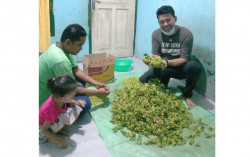 Bentuk Kepengurusan di 21 Kabupaten/Kota, PKR Beri Solusi Strategis untuk Petani Aceh