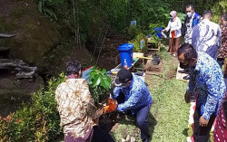 Sepanjang Sempadan Sungai Ditanami Buah, Ini Surganya Kelengkeng di Kulonprogo