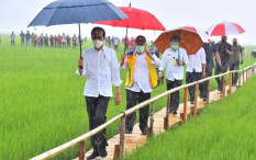 OPINI: Sistem Pangan Nusantara