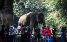 Ini Daftar 5 Tempat Wisata Tertua di Indonesia