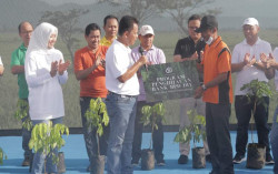 Bank BPD DIY Sumbang 2.000 Bibit Kelengkeng untuk Penghijauan & Keberlangsungan Perekonomian Pariwisata Desa