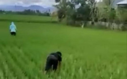 Viral Pemuda Pura-Pura Bercocok Tanam demi Hindari Tilang Polisi, Ini Videonya