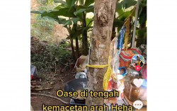 Viral Video Penjual Gorengan di Sawah, Manfaatkan Kemacetan Arus ke Heha Ocean