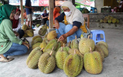 Musim Durian Merapi Tiba, Warga Jogja Serbu Pasar Kembang