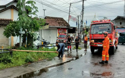 Pohon & Baliho Tumbang di 7 Lokasi di Bantul, Warga Diminta Waspada karena Musim Hujan Masih Panjang