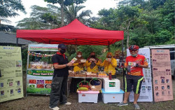 Pariwisata, Pertanian & Industri Rumah Tangga di Kokap Harus Menyejahterakan Masyarakat 