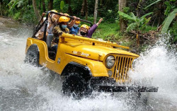 Jogja Exotarium: Wisata Edukasi Satwa, Outbound & Wisata Adventure Aman di Sleman