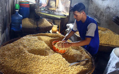 Ukuran Tahu dan Tempe Mulai Mengecil Pekan Ini