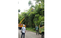 PLN Berhasil Atasi Gangguan Akibat Cuaca di Kulonprogo