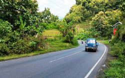 Dari 4 Tanjakan Ekstrem di Gunungkidul, Ini yang Paling Aman Dilewati Bus Wisata