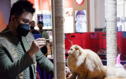 Harmony of Love: Rangkaian Event Menarik Lengkapi Kebahagiaan Penuh Cinta bagi Pengunjung
