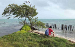 Ide Gila! Para Pemuda Ini Beli Pulau dan Coba Buat Negara Sendiri