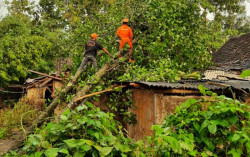 Ratusan Rumah Rusak Diterjang Angin di Gunungkidul, Ini yang Paling Dibutuhkan Warga