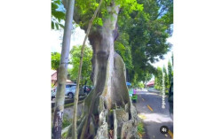 Depan Balai Yasa Jogja Disebut Angker. Versi Warganet, Horornya Karena Ini..